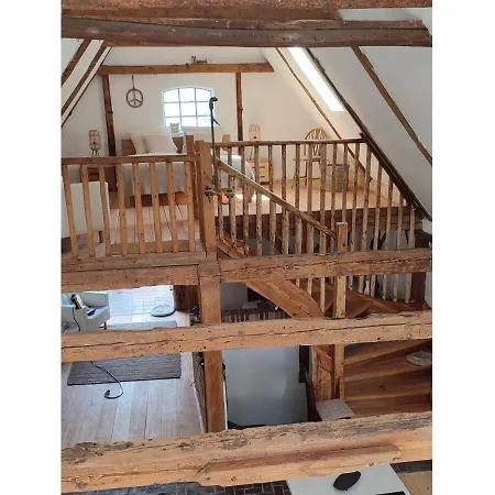 Galerie No 5